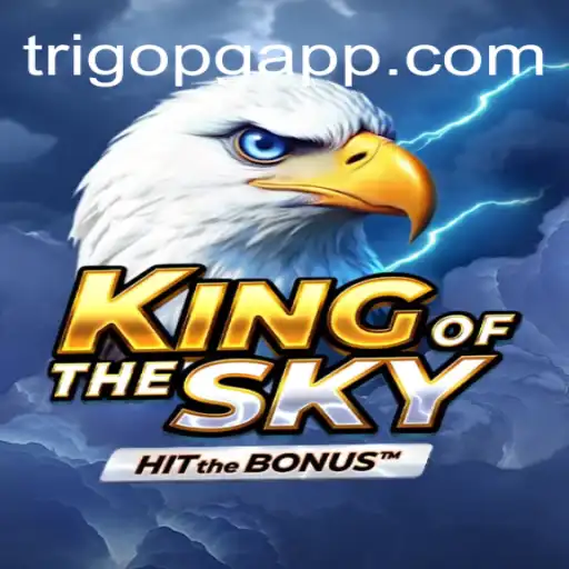 Explore the Thrills of KingOfTheSky – A Captivating Adventure in Virtual Gaming